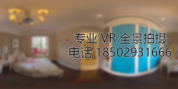 吉林如何才能拍好VR全景
