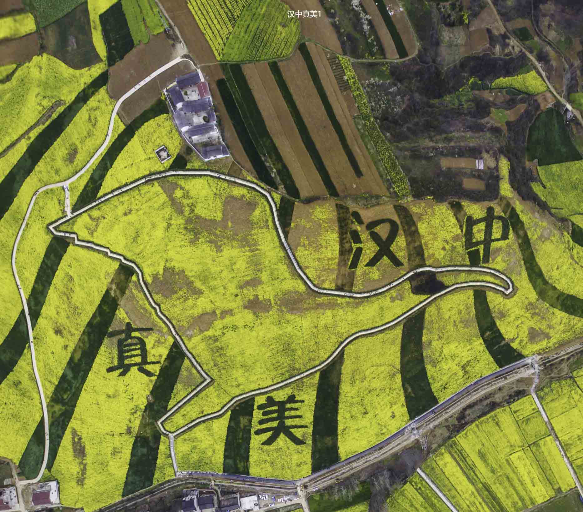 吉林VR全景拍摄中的三维建模艺术：从现实到虚拟的再现